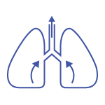 A blue circular icon with a white line drawing of the lungs, symbolising breathing